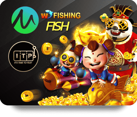 Discover New Opportunities with Kingkongxo Daily Spin Today
